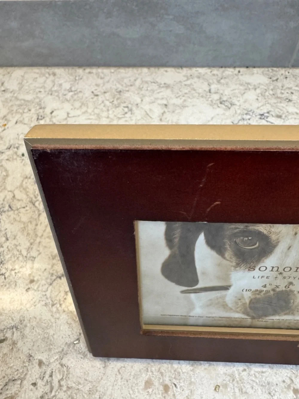 A Sonoma Life & Style brown wood picture frame with dog bone and bow wow wow